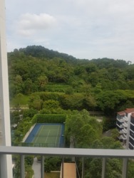 The Skywoods (D23), Condominium #173298712